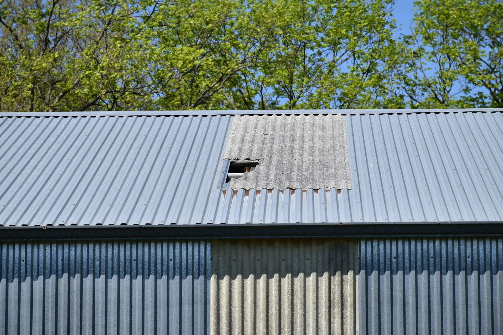 Wind Damage Roof Repair in Medford, OR