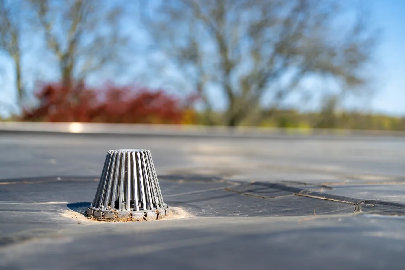 Roof Insurance Claim Assistance Roof Insurance Claim Assistance